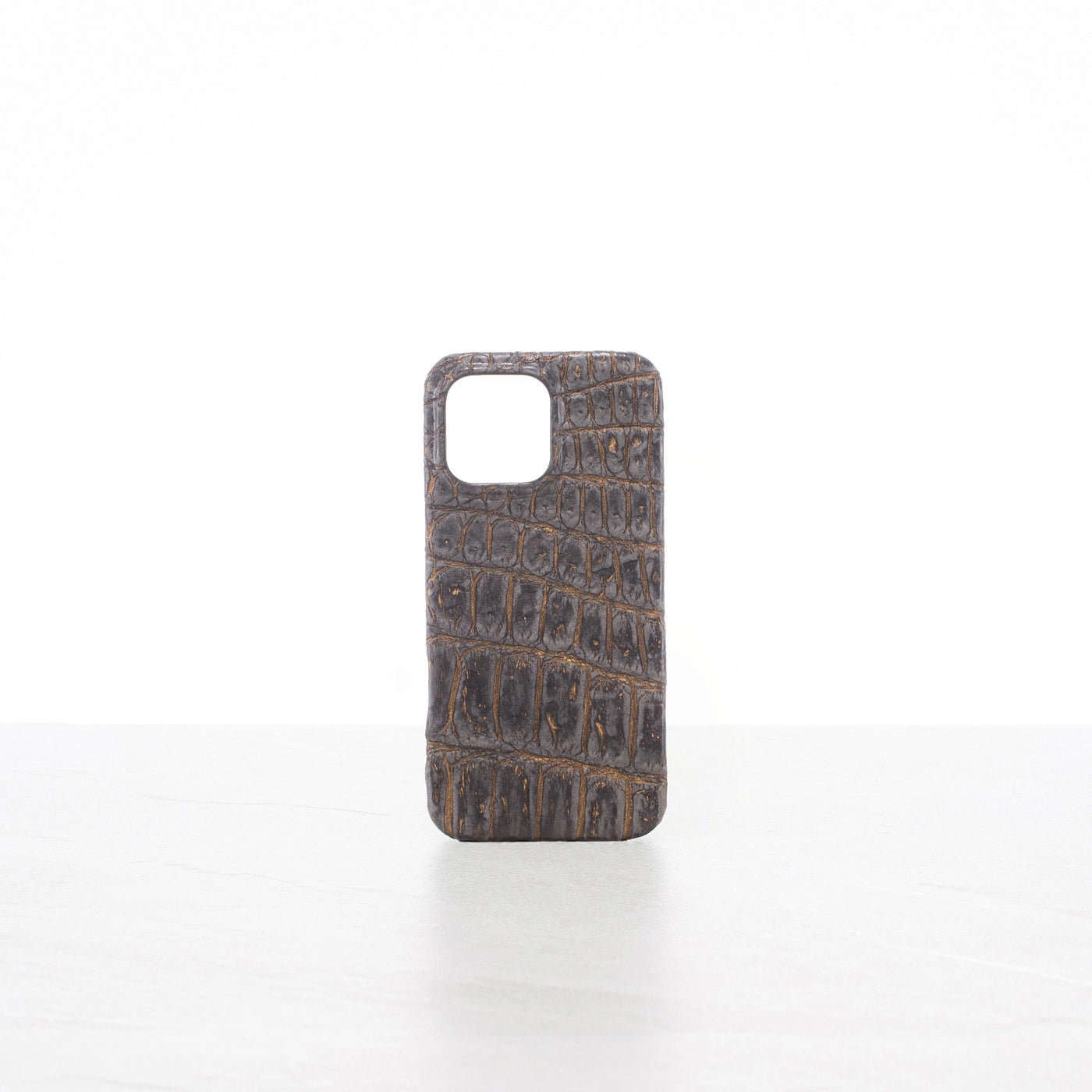 iPhone 16 Pro Max case
