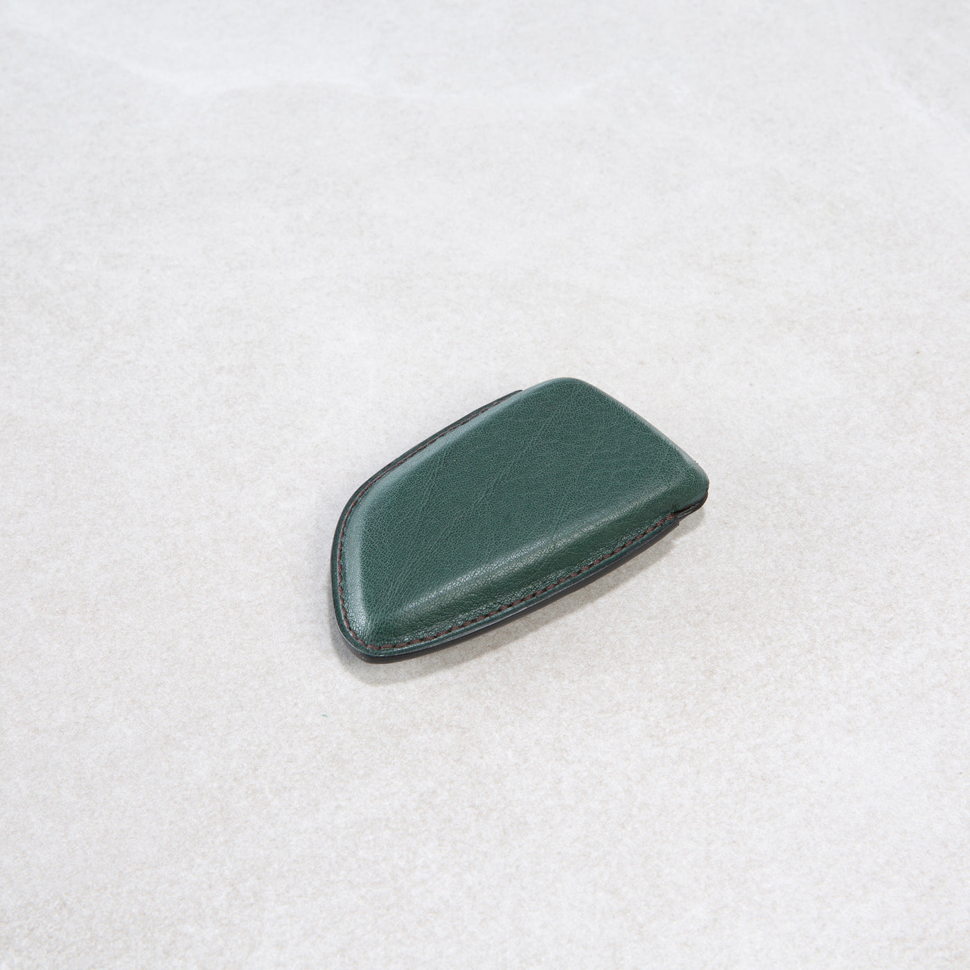 Car key fob