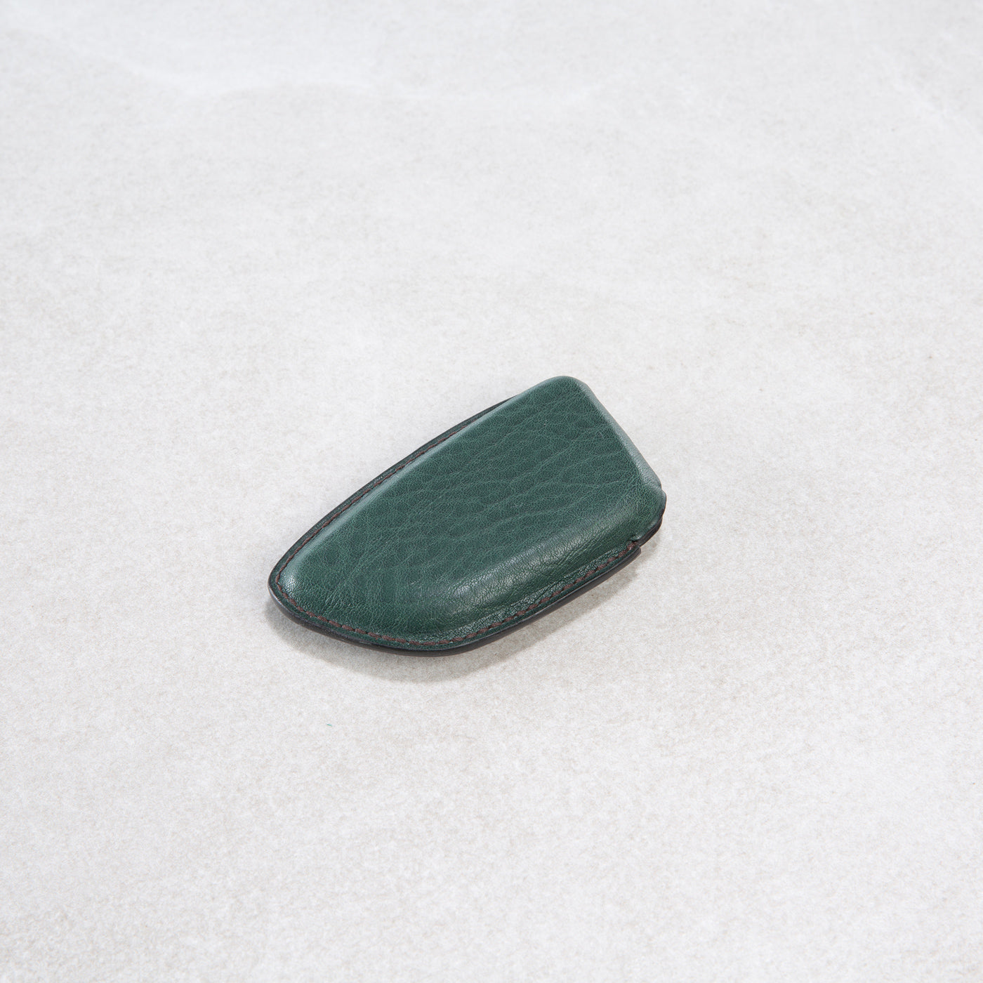Car key fob