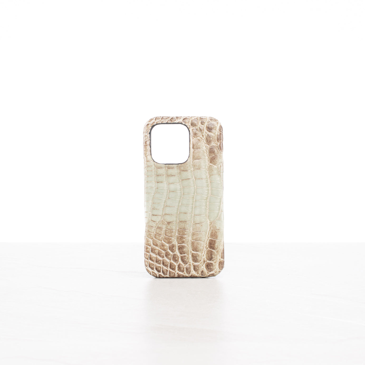 iPhone 16 Pro case