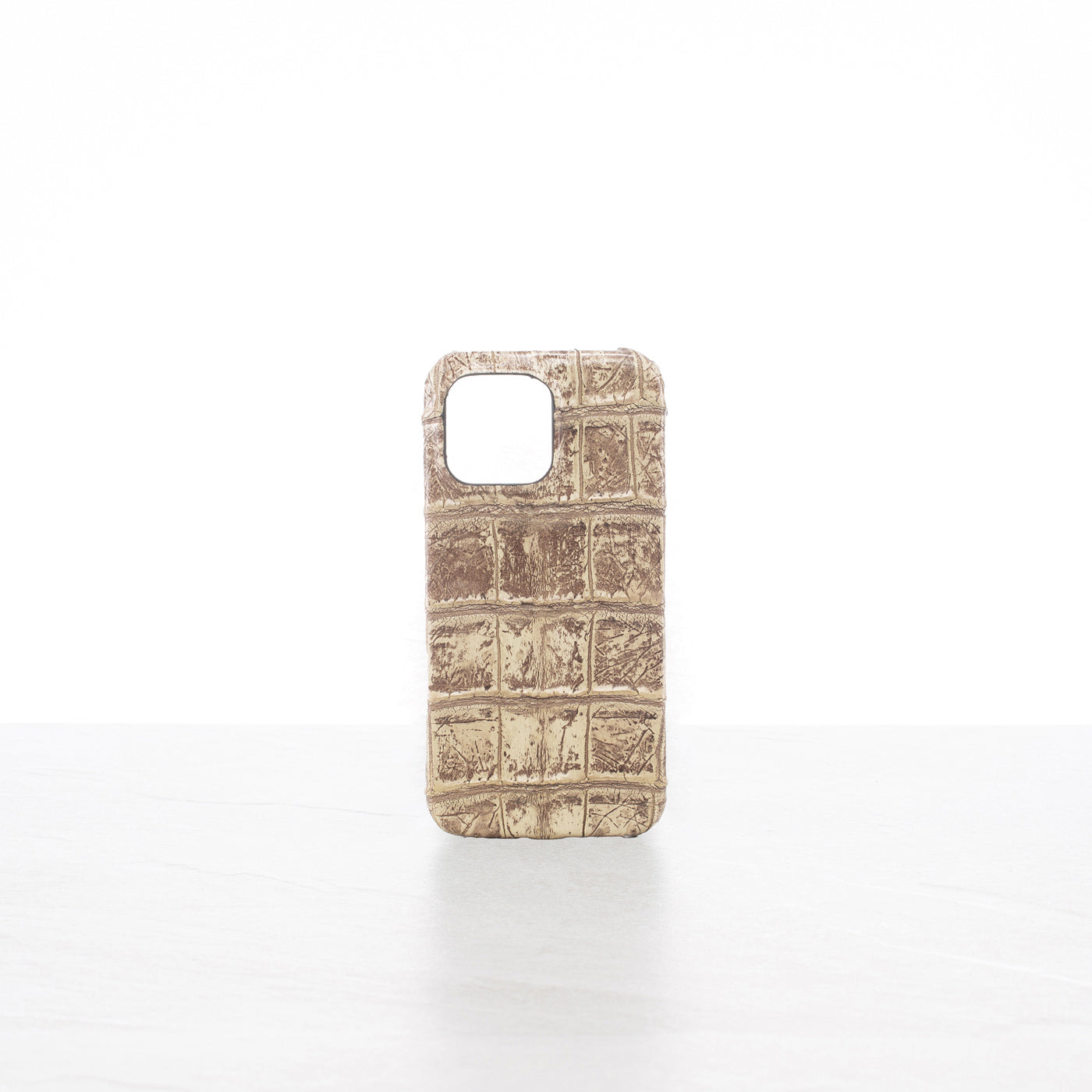 iPhone 16 Pro Max case