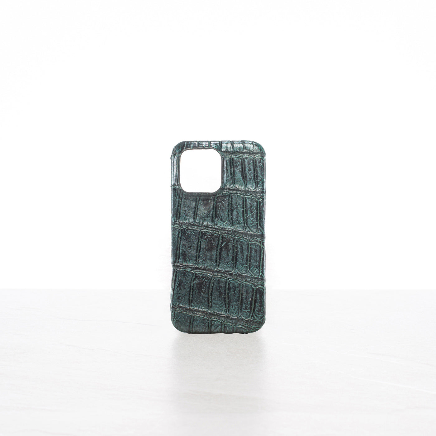 iPhone 16 Pro Max case
