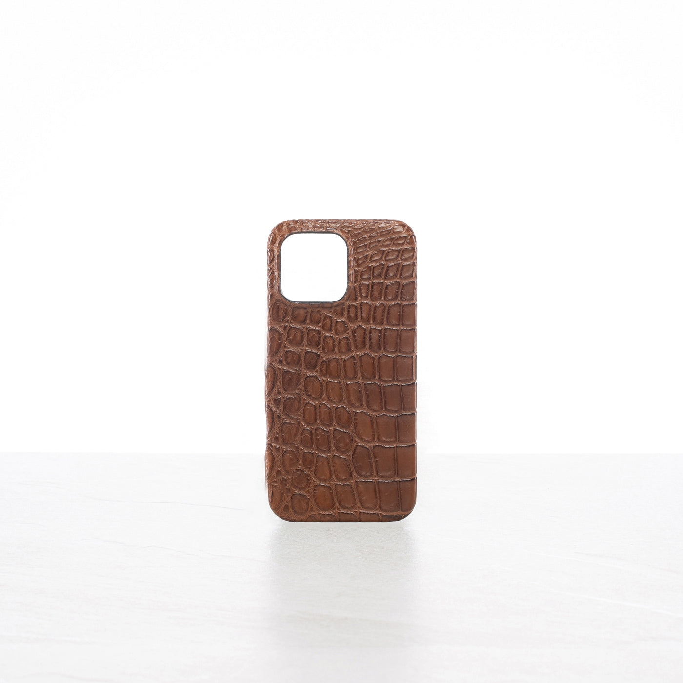 iPhone 16 Pro Max case