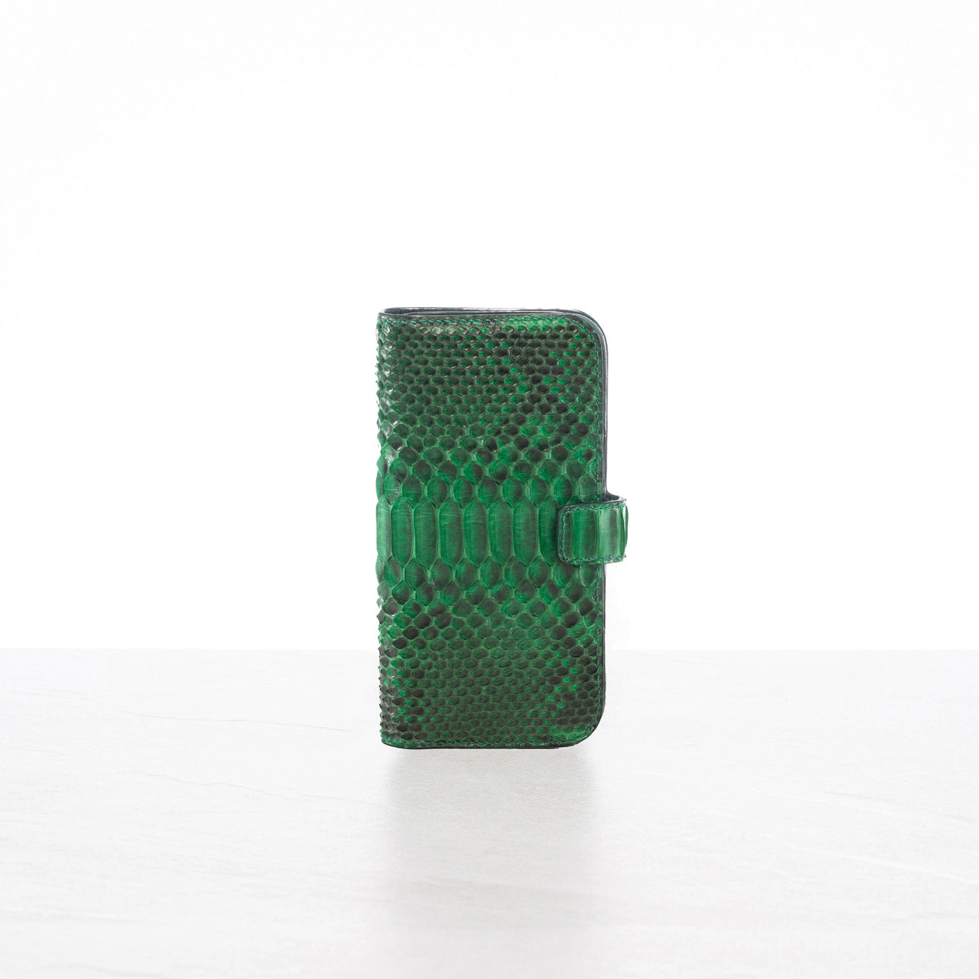 iPhone 16 Pro max wallet