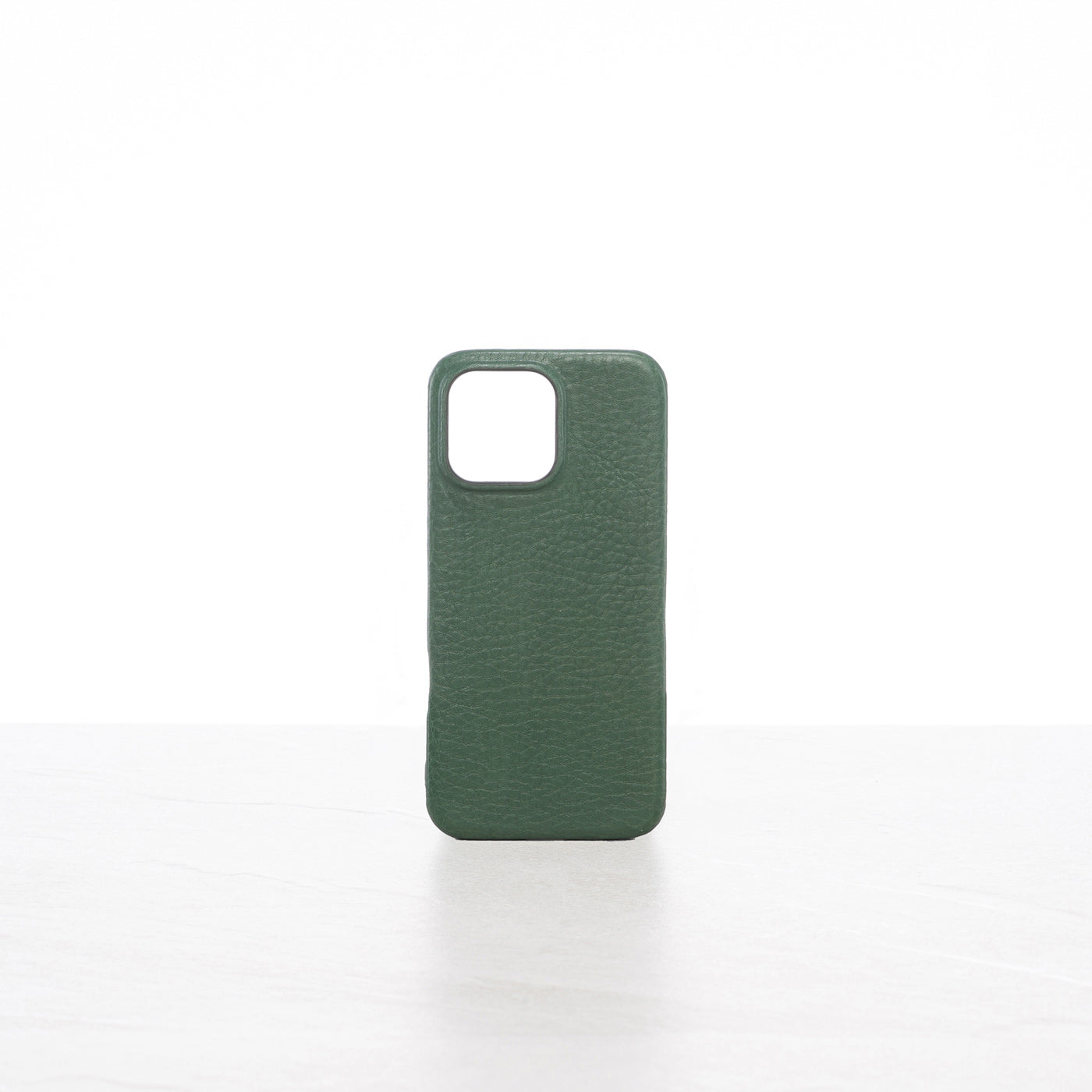 iPhone 16 Pro Max case