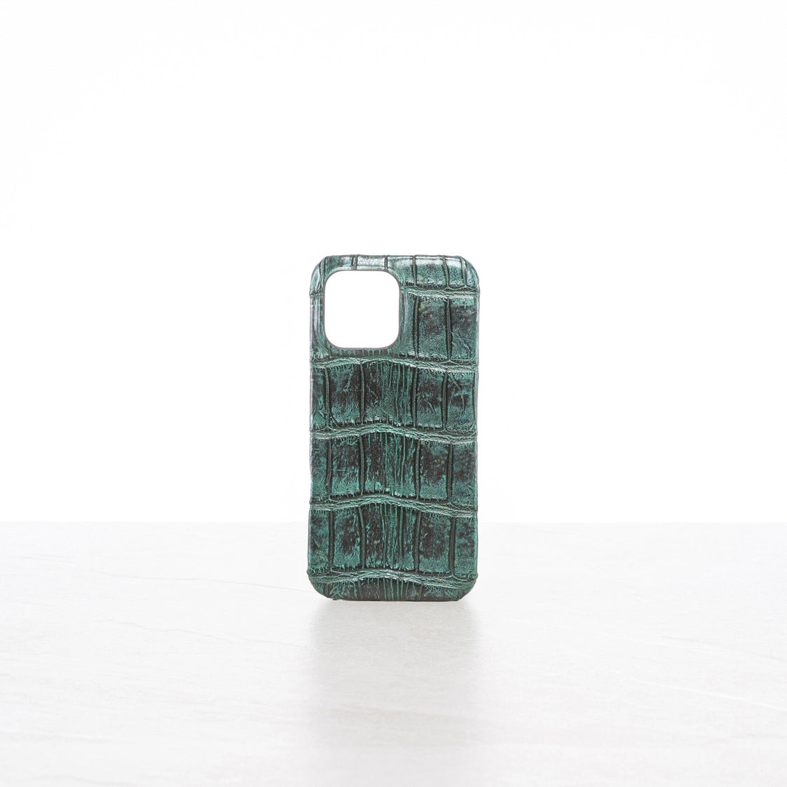 iPhone 16 Pro Max case