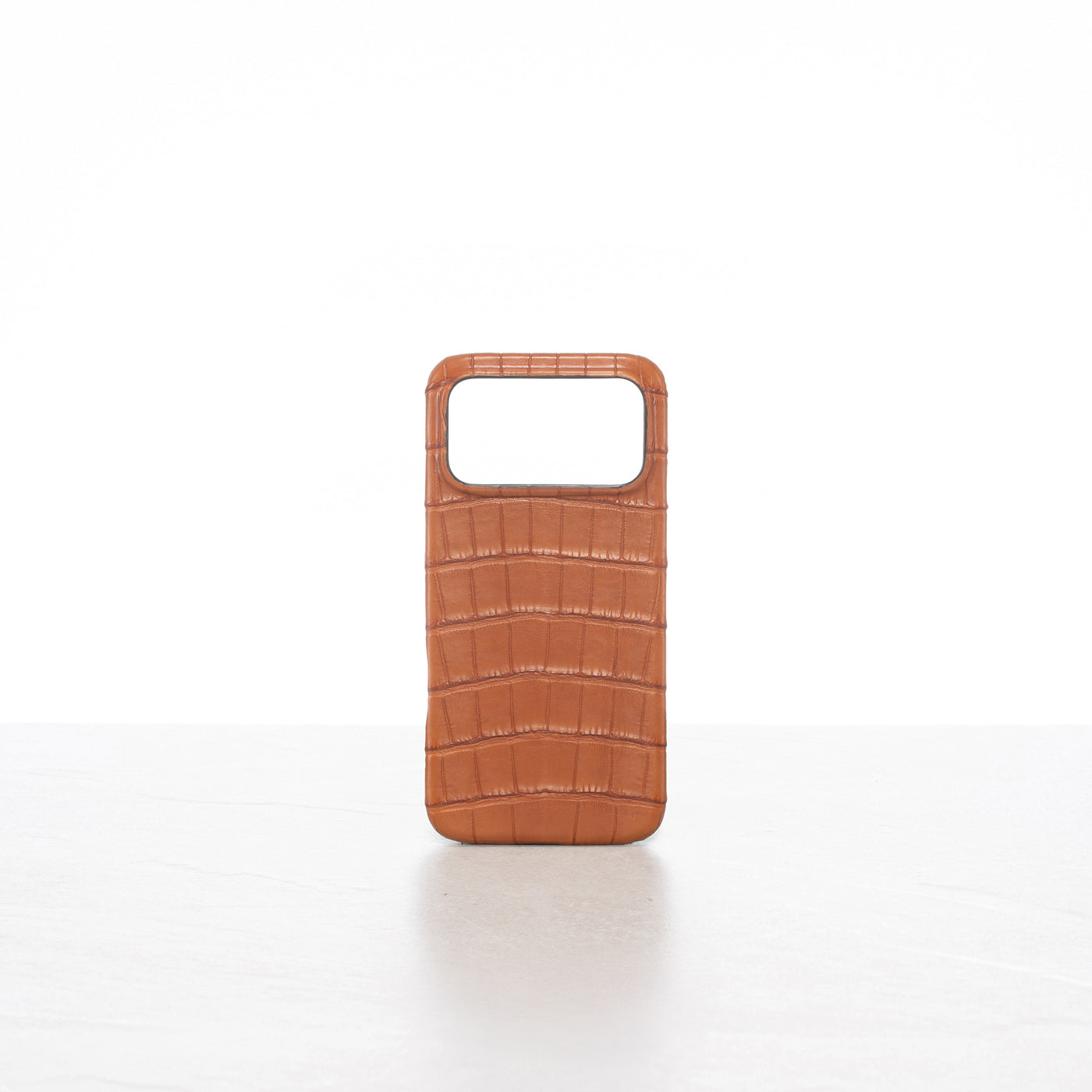 iPhone 17 Pro Max case