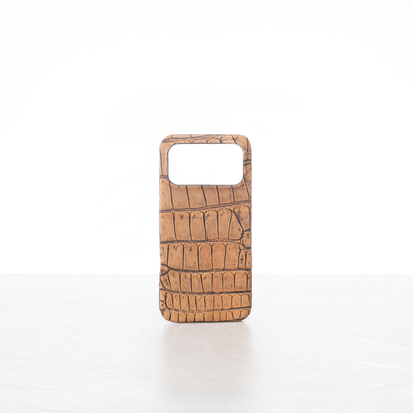 iPhone 17 Pro Max case