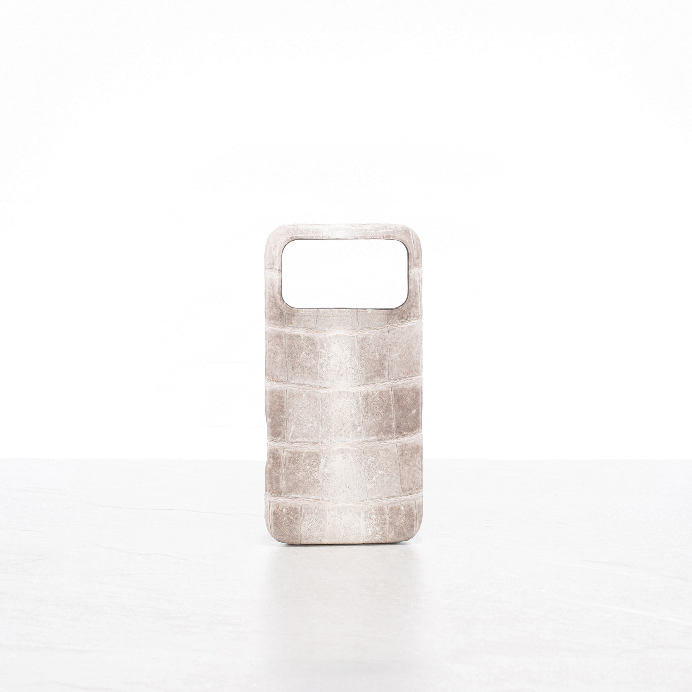 iPhone 17 Pro Max case