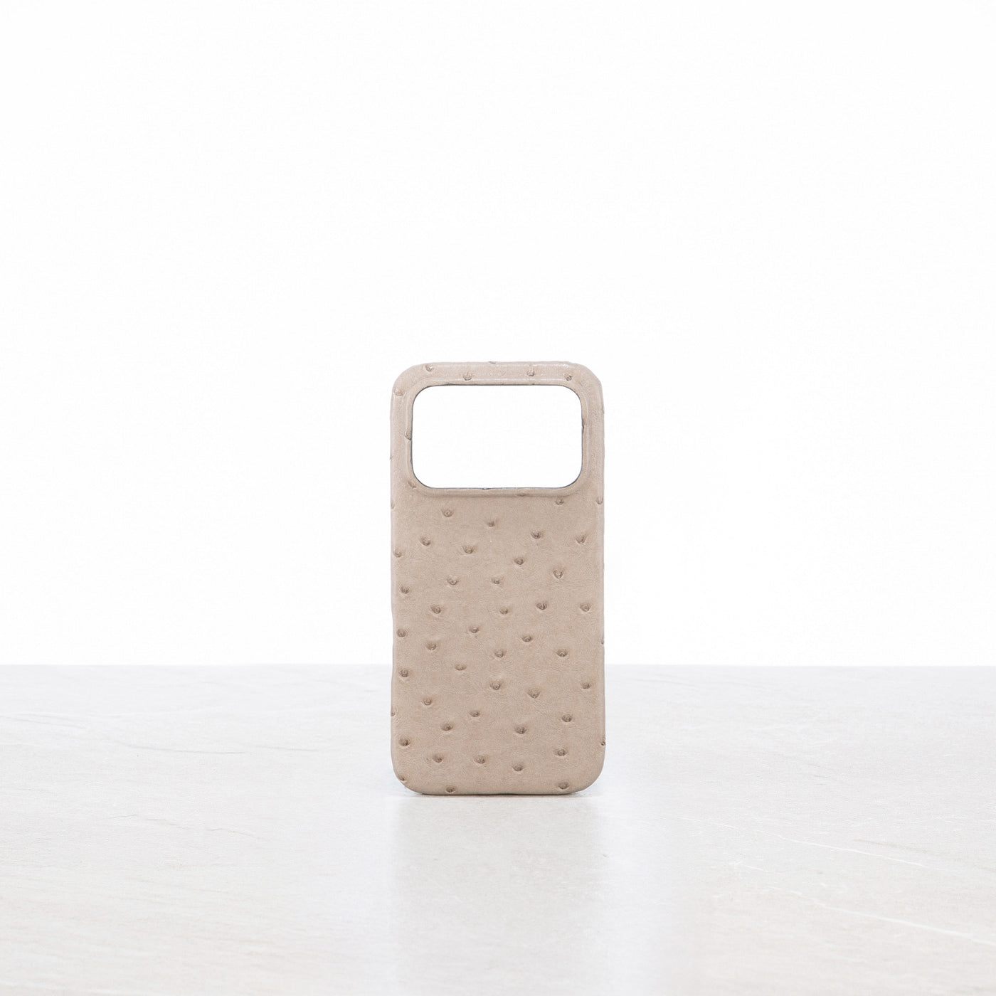 iPhone 17 Pro case