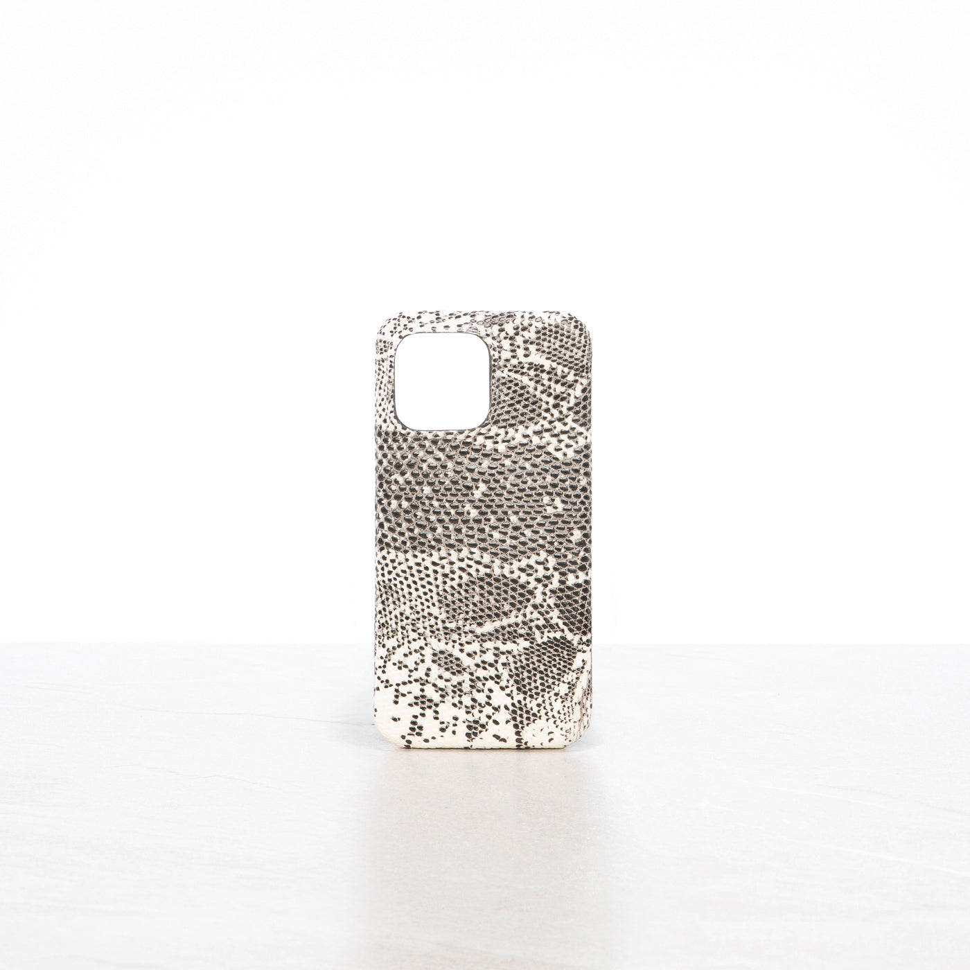 iPhone 15 Pro Max case