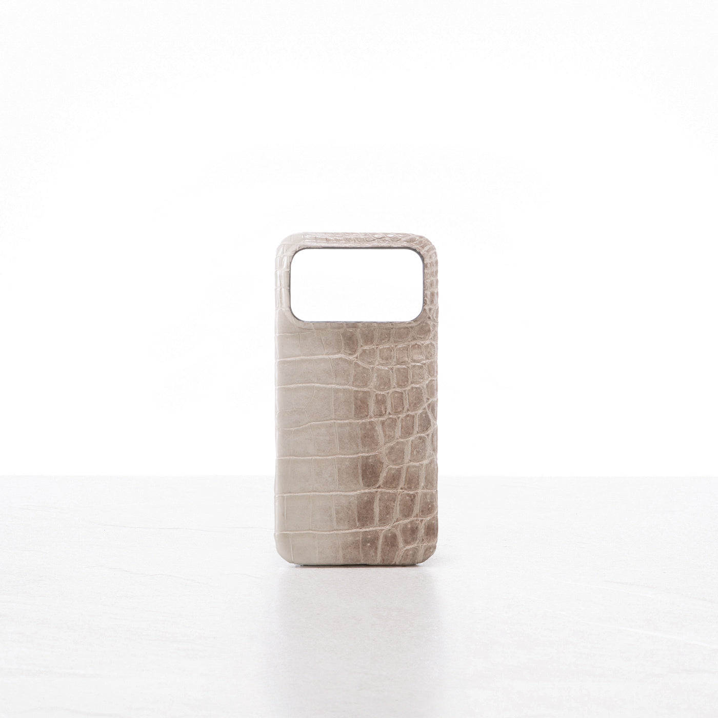 iPhone 17 Pro Max case