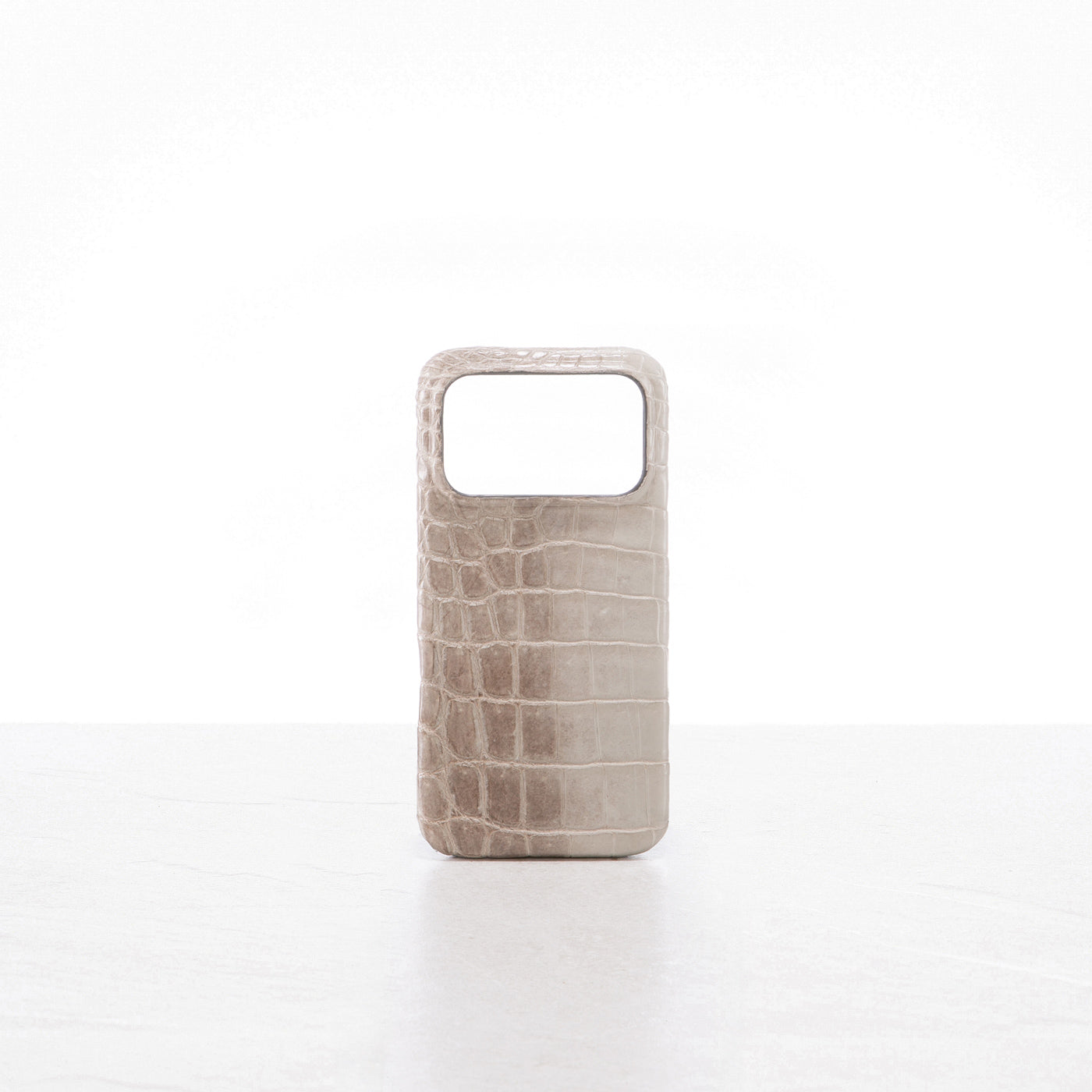 iPhone 17 Pro case