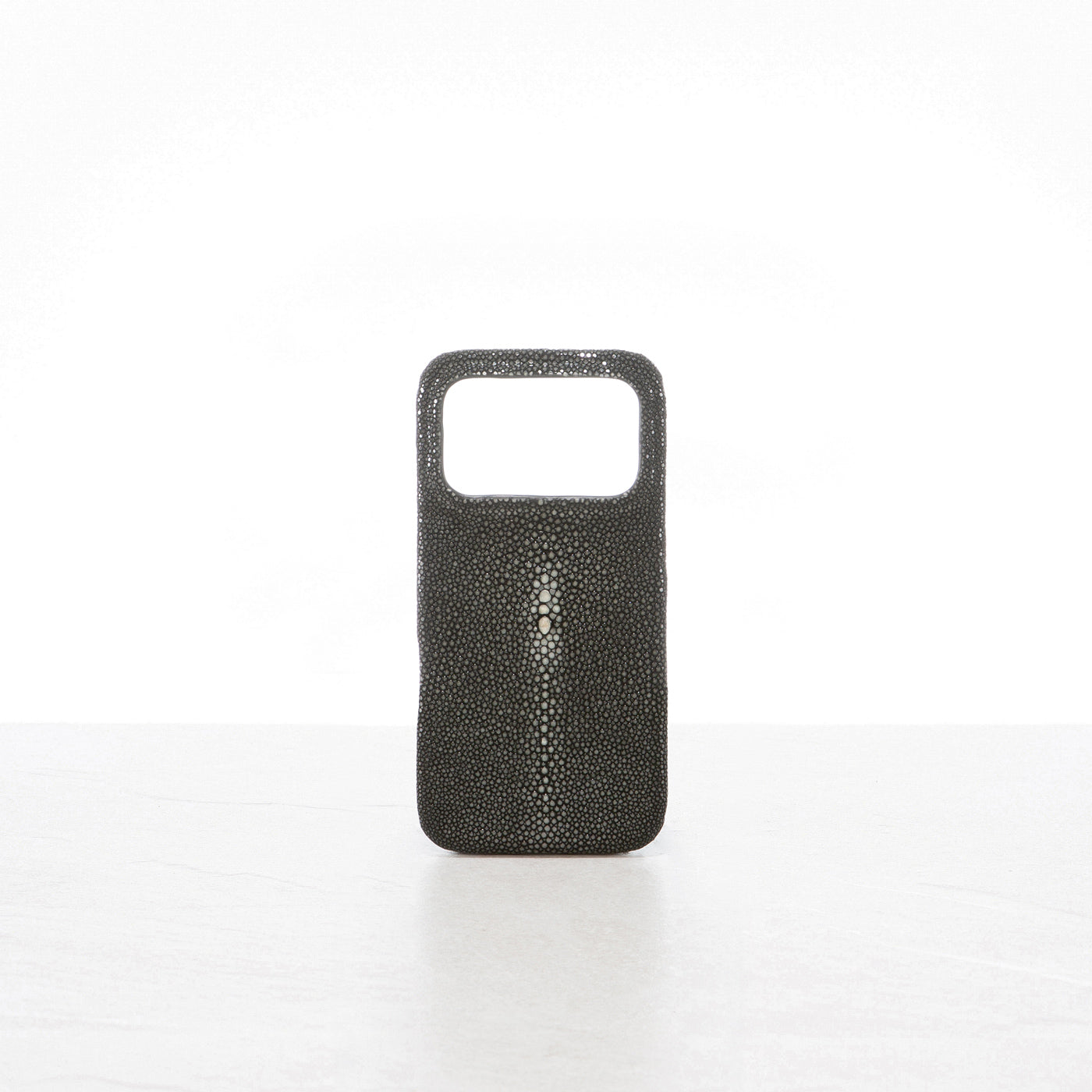 iPhone 17 Pro case