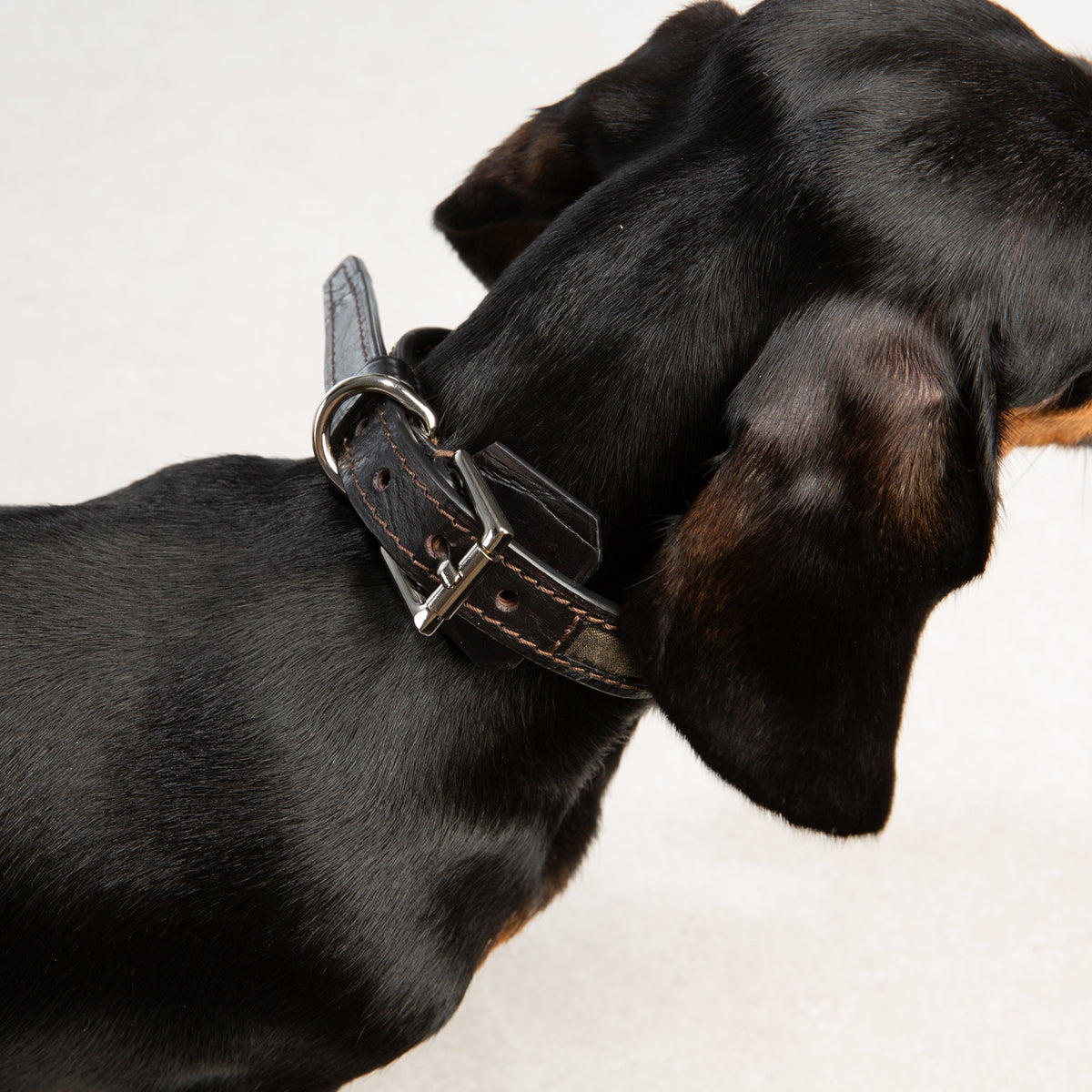 Bespoke Dog collar