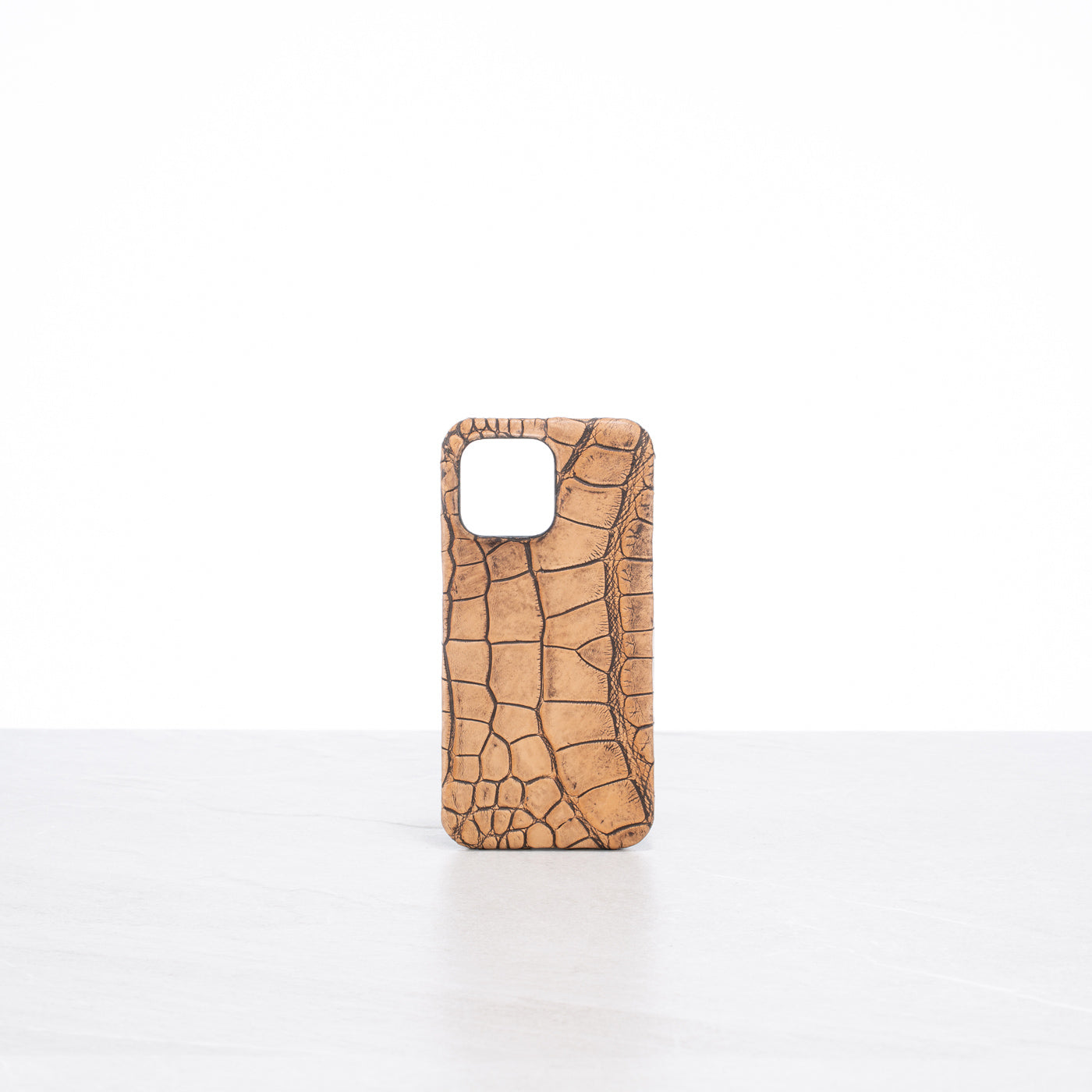 iPhone 15 Pro Max case