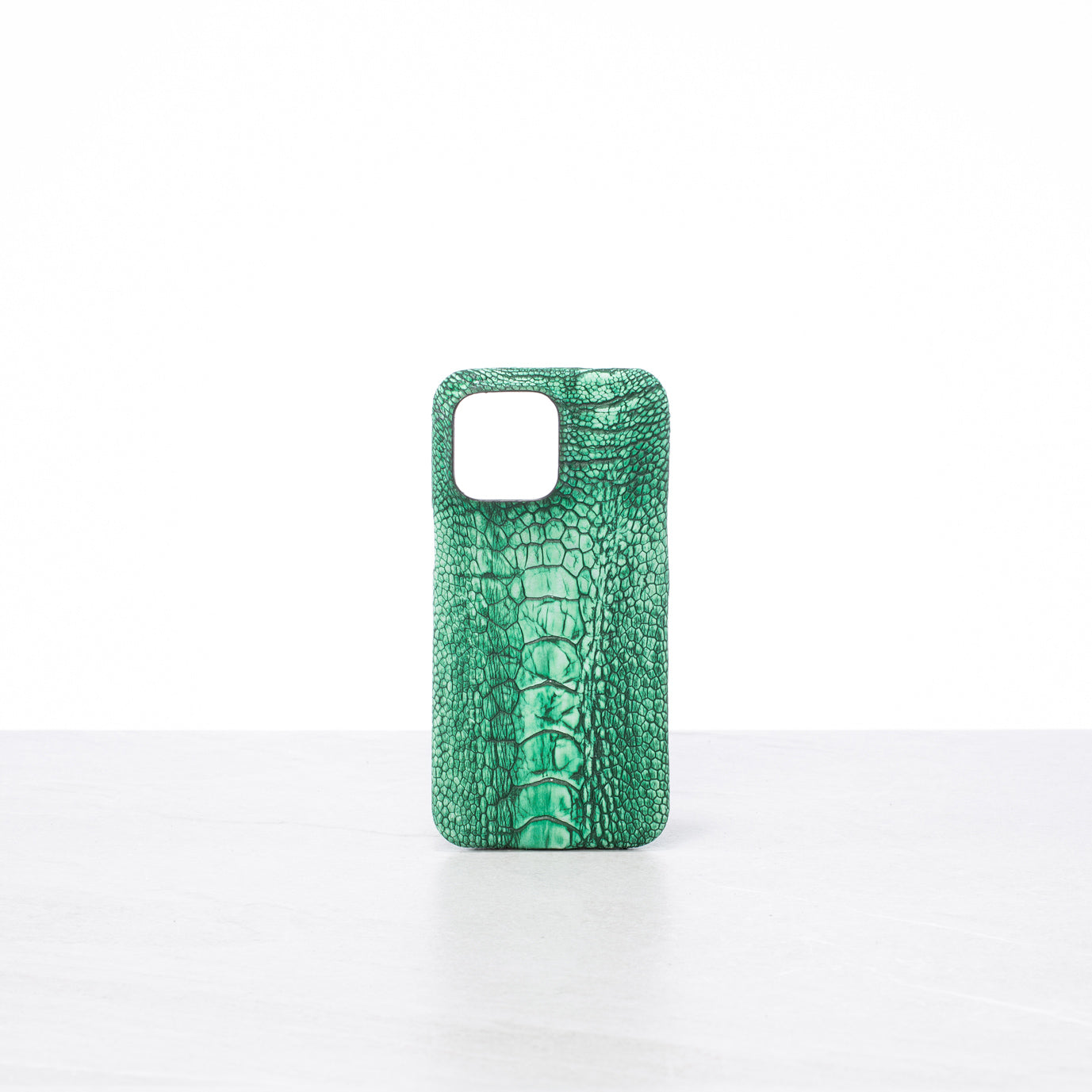 iPhone 15 Pro Max case