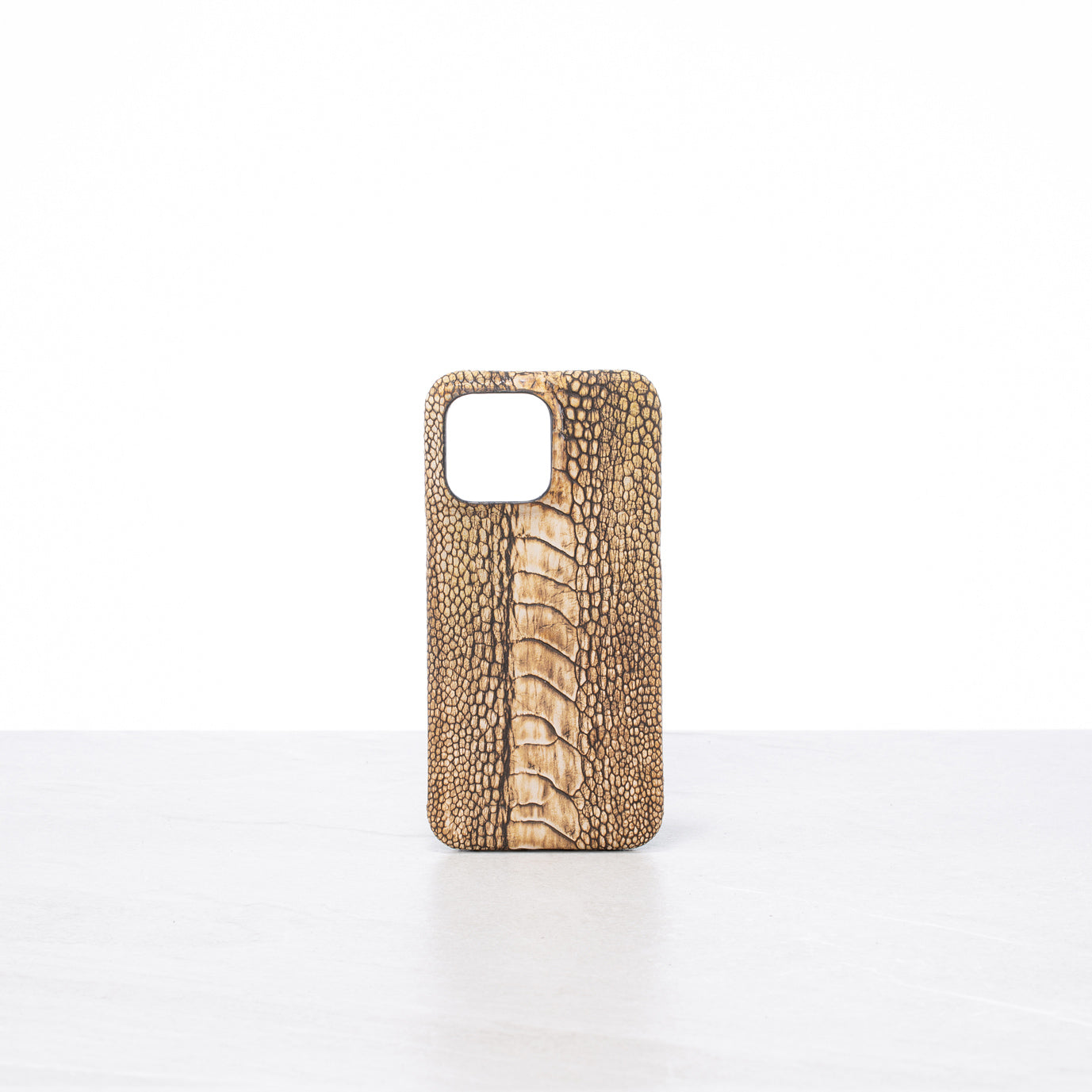 iPhone 15 Pro max case