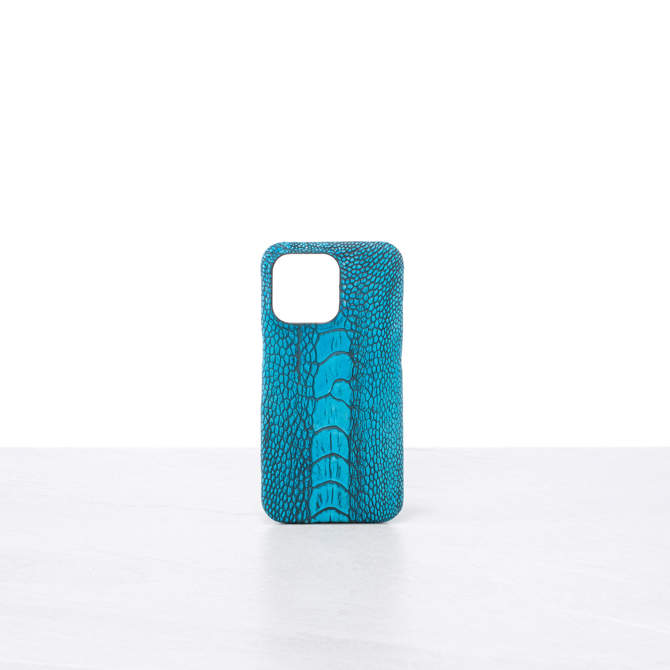 iPhone 13 Pro case