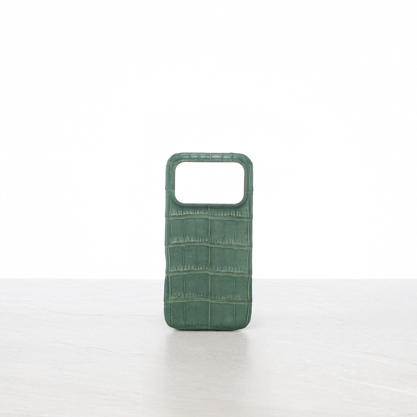 iPhone 17 Pro case