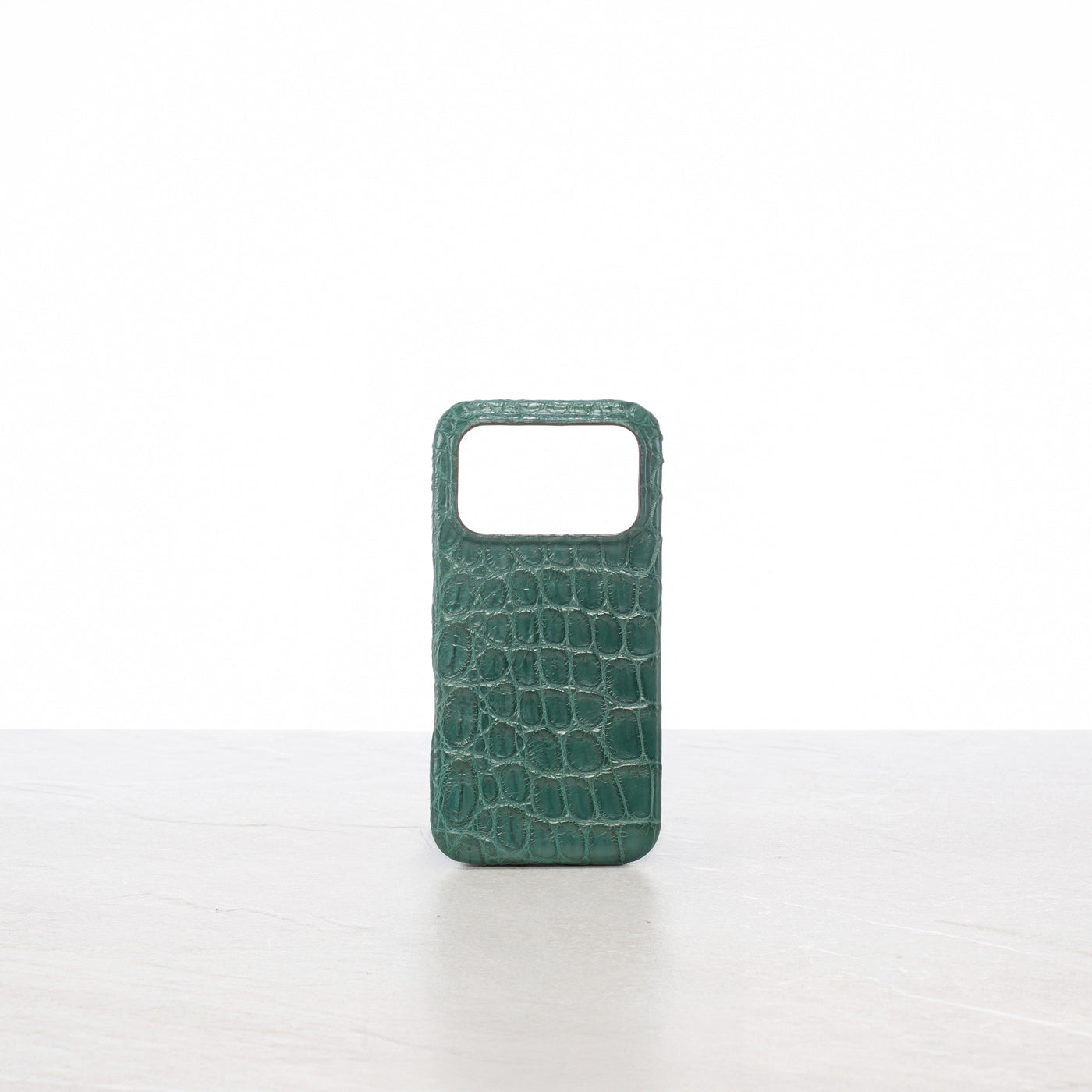 iPhone 17 Pro case
