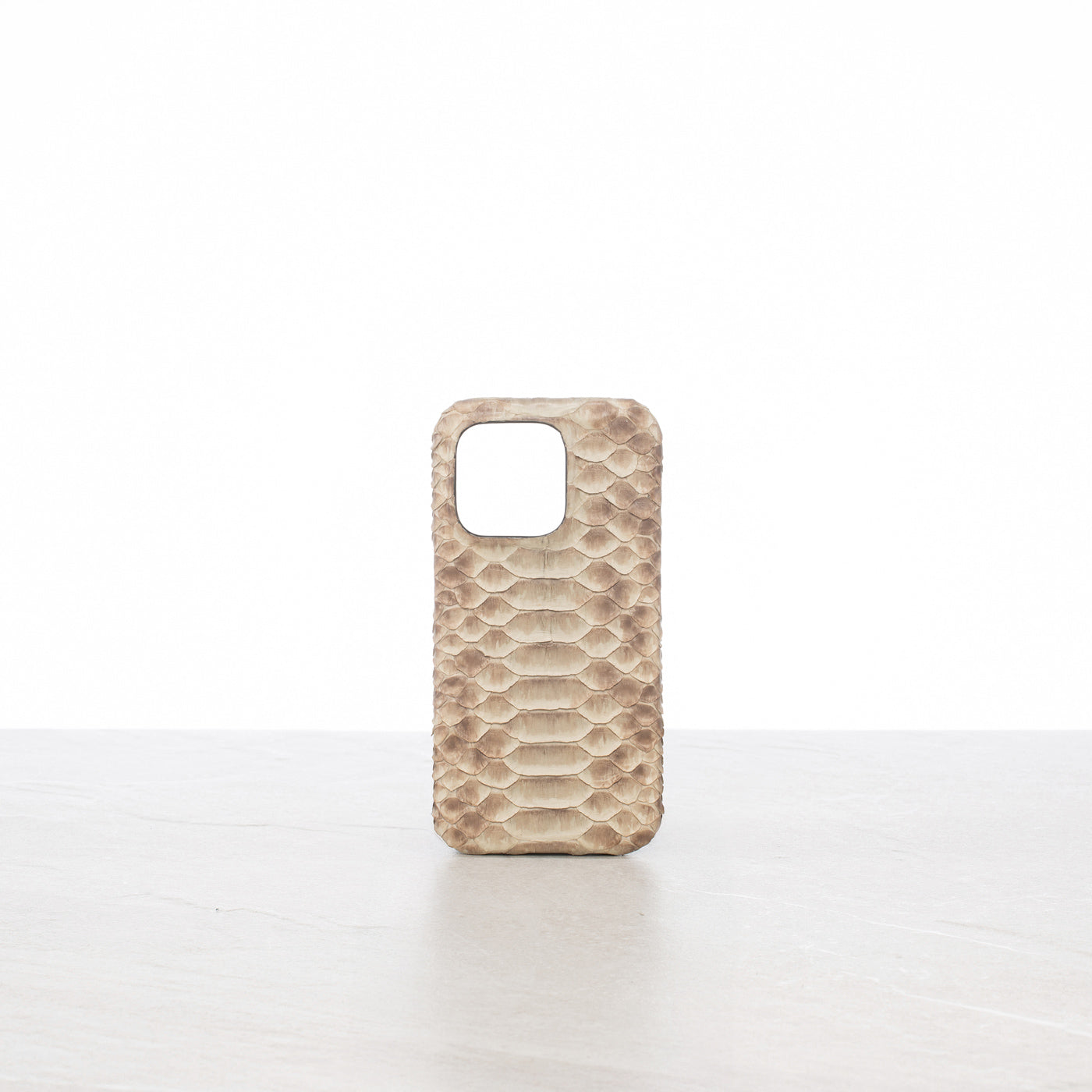 iPhone 15 Pro case