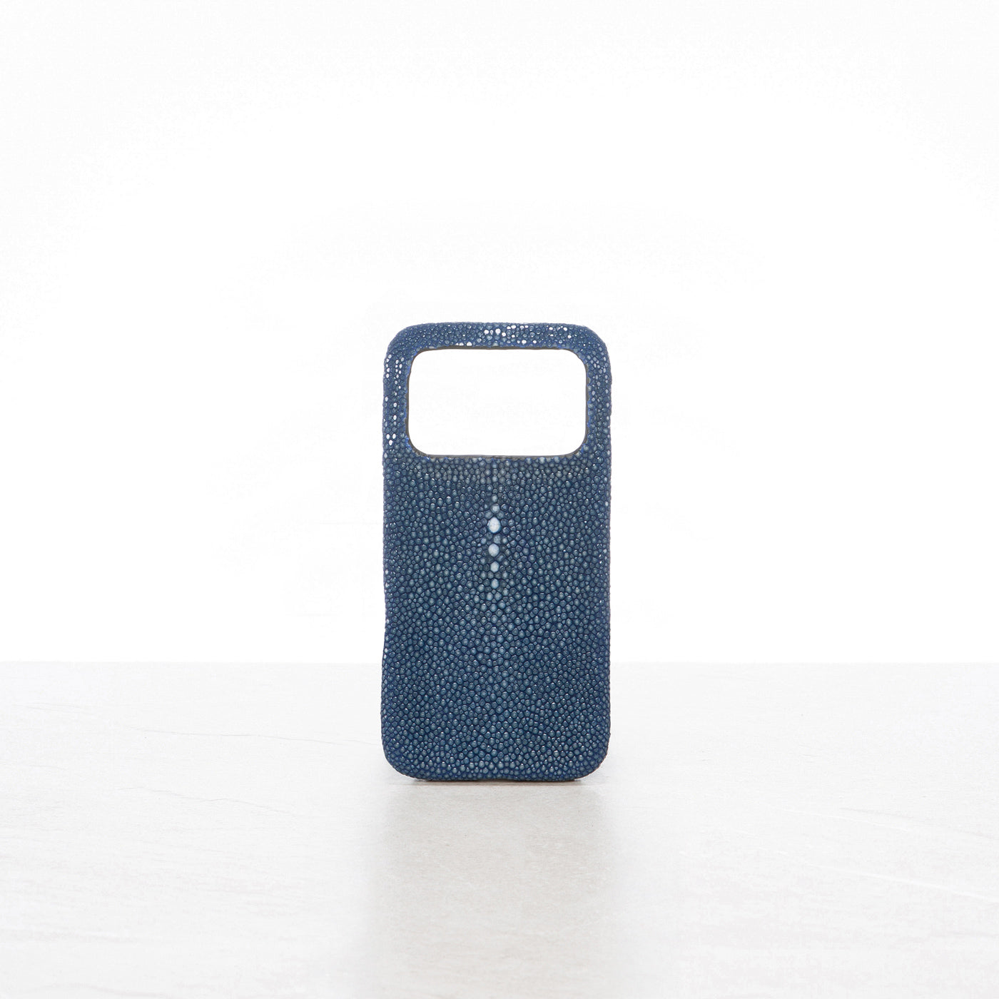 iPhone 17 Pro case
