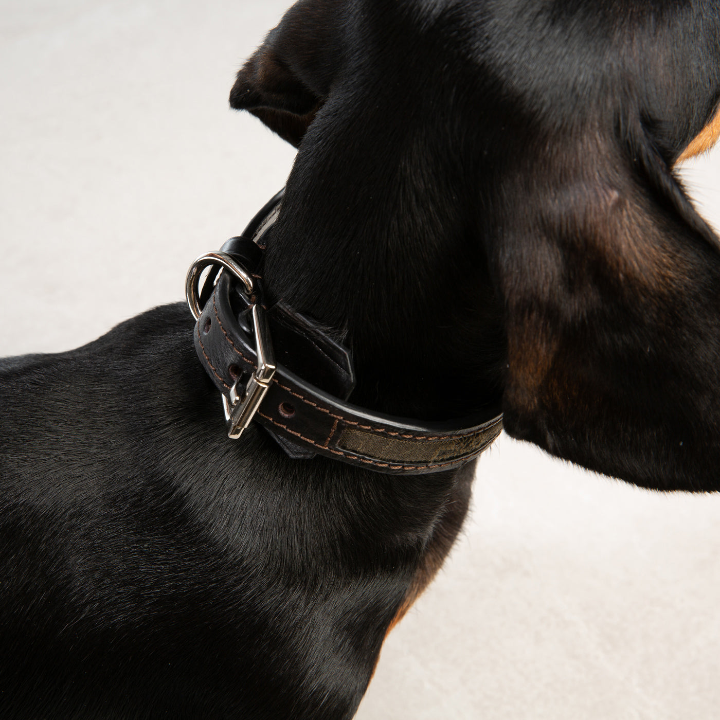 Bespoke Dog collar