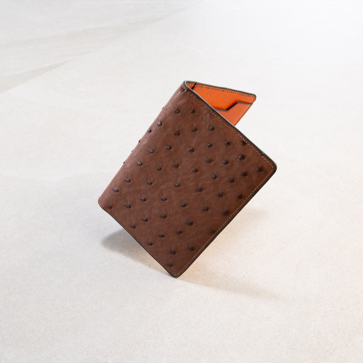 Treasure holder mini