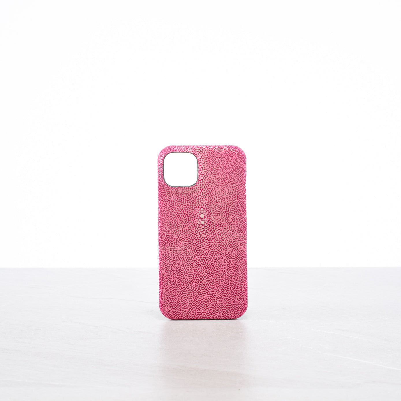 iPhone 14 Plus case