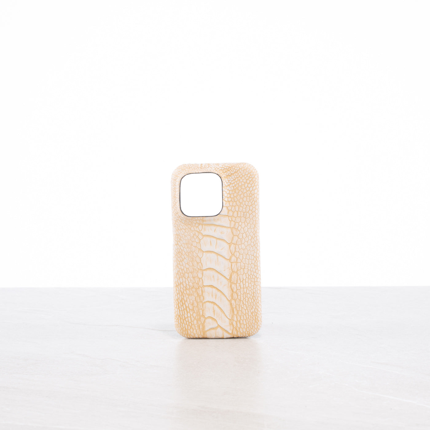 iPhone 15 Pro case