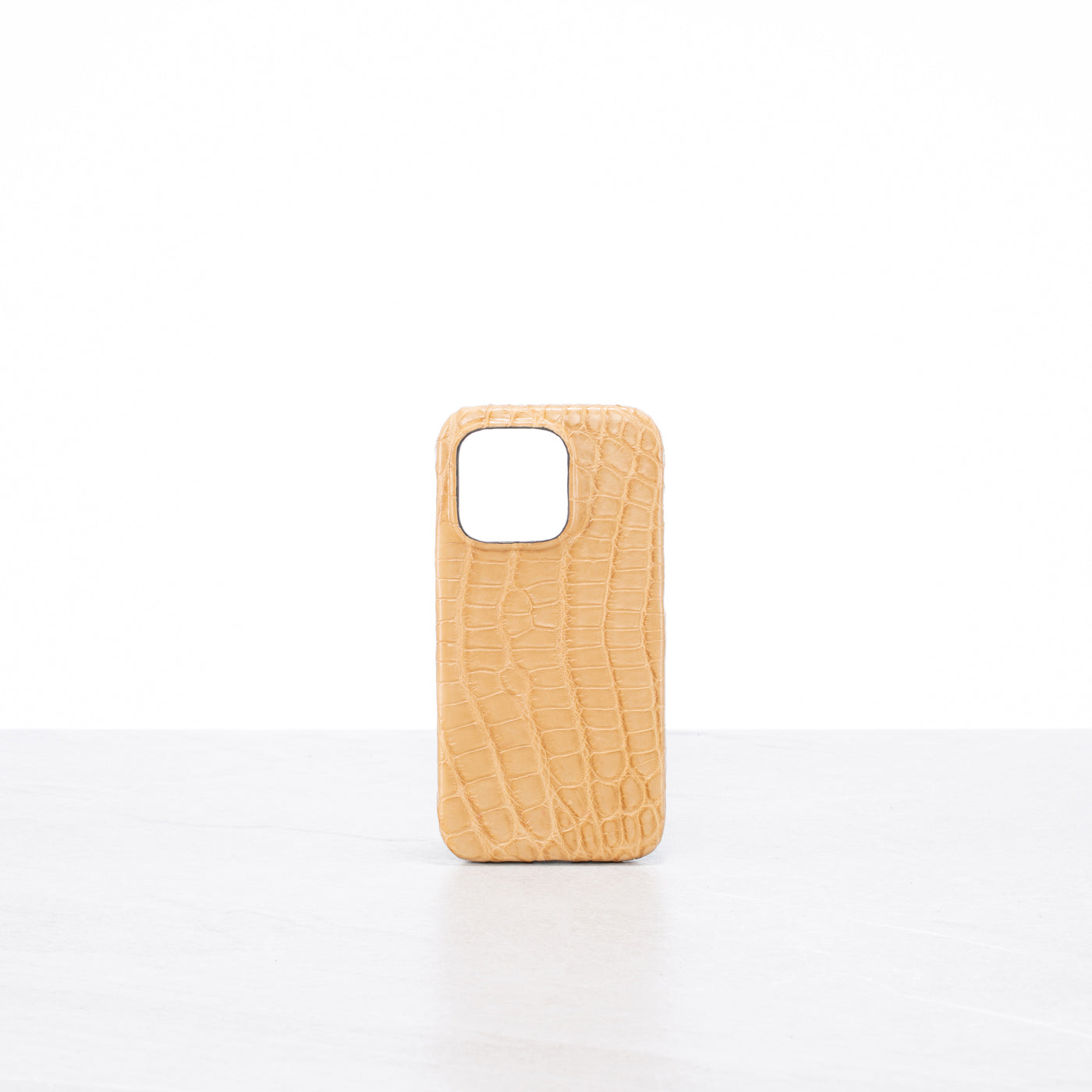 iPhone 15 Pro case